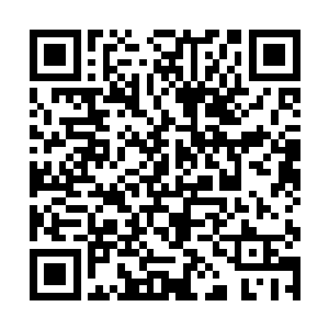 十二架武装直升飞机降落在了内道门那巨大的广场上二维码生成