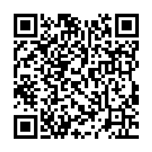 十二生肖战阵要收集到十二种不同种类的太古年兽二维码生成