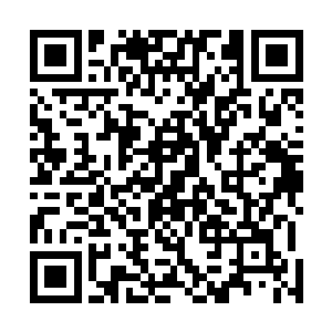 十二通天塔的塔主早已经知道血杀原原主林铭归来的消息二维码生成
