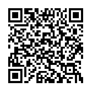 十二金牛是双蛇教为了度过大灾变而储存的粮食二维码生成