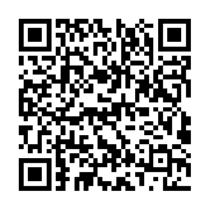 十二长老带着所有的龙族都汇聚在了外面的广场上二维码生成