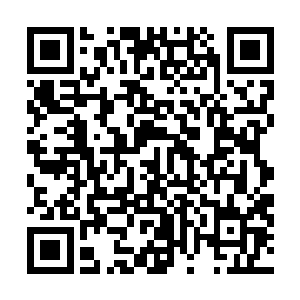 十二鹰之间特有的联系让第一时间感应到某个突然的中断二维码生成
