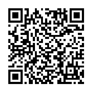 十五人那奇异的阵法正是当年他们炼化缥缈峰时所创二维码生成