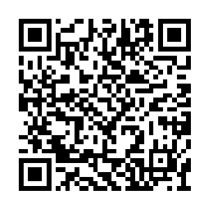 十五米……而有两个班级出现了接力上面的失误二维码生成