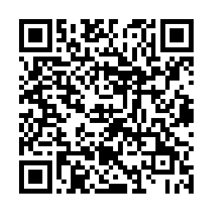 十余丈长的凌厉剑芒和托尼手中的锋利长剑碰撞到一起二维码生成