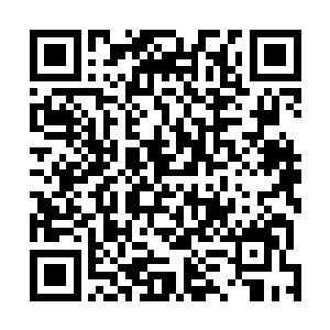 十余名血族突然间象是遇到了他们有生以来最恐怖的事物二维码生成
