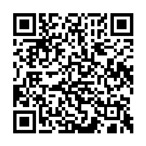 十余道寒光直接射向了岛国的海军大将刀皇太一二维码生成