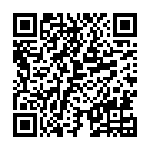 十八名神甲战士在变身完成后就不约而同地朝对面的无角人二维码生成