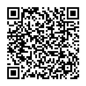 十六条金枪鱼不说什么蓝鳍就算都是三百多磅的黄鳍也有好几万美元了二维码生成