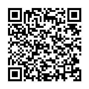 十几万只噬金蚁一下子就化成黑色的旋风飞入到灵兽袋里二维码生成