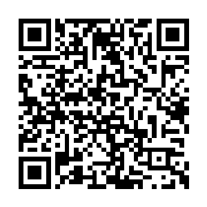 十几个人围起来即便成罡境巅峰强者都难以抵挡二维码生成