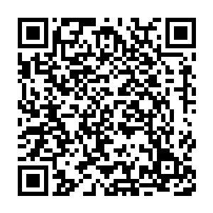 十几个大修士你一言我一语地将他们想出的办法和许紫烟说了一遍二维码生成