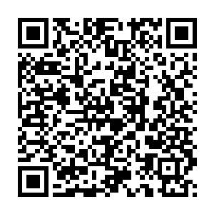 十几个浑身散发着强大气息的黑袍人正恭恭敬敬的守护在一个上身赤裸二维码生成
