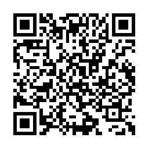 十几位化神后期和中期修士就在自己石屋外不远二维码生成