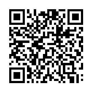 十几位域主和界主都没能在他手下撑过两招二维码生成