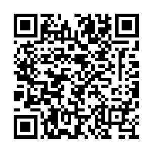 十几位多纪元大帝本想着一出现抢到浮世塔就走二维码生成