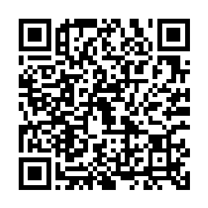 十几位神s手用自己精湛的技艺给予强而有力的支援二维码生成