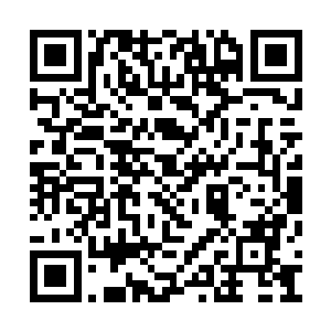 十几位黑暗议会的成员也是直接是朝着秦宇而去二维码生成