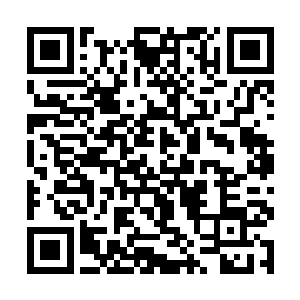 十几名来自六大宗派和各大世家的核心成员正在议事二维码生成