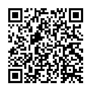 十几名水凤堂成员也许见过太多人被注射药物之后的反应二维码生成