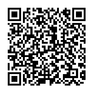 十几年前那场大战以及十年前那次冲突里被破坏的河堤与青石道都被修好了二维码生成
