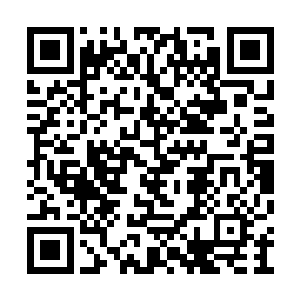 十几年来她曾无数次幻想自己的故乡是怎么样的二维码生成