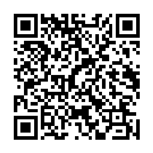 十几根黑色的光柱顿时直接出现在了杨戬两个人身边不远处二维码生成