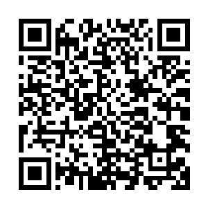 十几颗仙元丹的速度放在白莲境界的话那将是相当恐怖的事情二维码生成