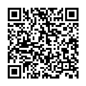 十分狐疑地看着眼前那道与方才一模一样的巨大山瀑二维码生成