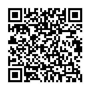 十分的清楚他们这一次的行动可是关乎整个龙族的生死存亡二维码生成