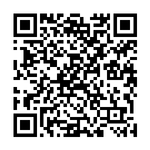 十只条大蓝鳍金枪鱼就这么开始拖着鱼具开始挣扎了起来二维码生成