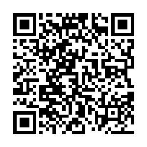十名和他一样打扮的黑衣人分为两排整整齐齐的坐在下方二维码生成