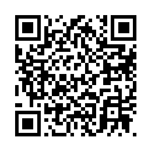 十四位黑暗议会的成员被拦下了十位二维码生成