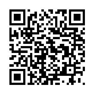 十多个查账入员正在分门别类的进行逐一核实二维码生成