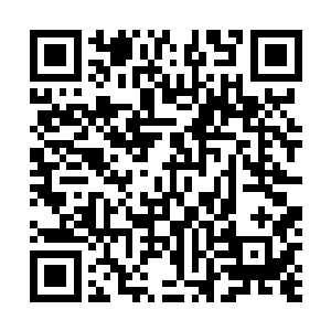 十多件空间装备一排的放在一张垫着绿色鹅绒的桌台之上二维码生成