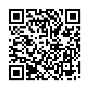 十多头气宗级别的妖兽……怎么会有这么多二维码生成