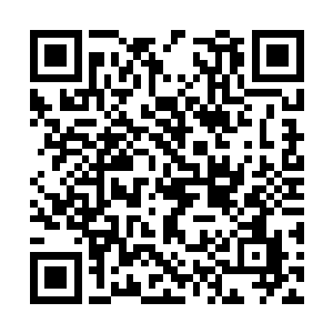 十多条狼已经被爆开的光弧直接弹飞出了七八米远二维码生成