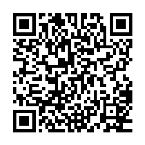 十多艘如同黑鳍鲨的冲锋舰带着凌厉杀意朝他们迎面急速驶来二维码生成