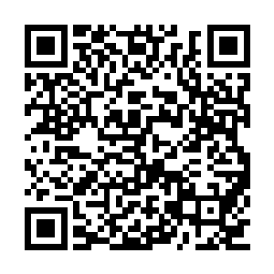 十大势力奋不顾身花费大代价前来攻伐妙音秘境二维码生成