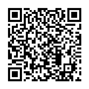 十大境关圆满的剑王朝强者冲向境关圆满的傀儡大战起来二维码生成