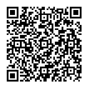 十大守护家族和众多上古世家的圣皇强者们立即飞一般的向着大战爆发的方向冲去二维码生成