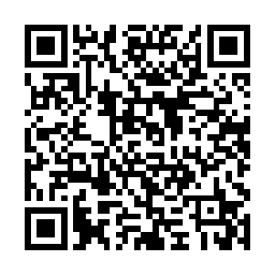 十大守护家族和那些上古世家的老祖一个个心神大震二维码生成