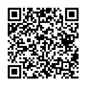 十大守护家族的人纷纷离开了佣兵之城返回了各自的家族二维码生成