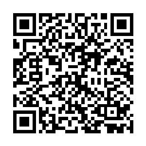 十大家族剩下的八位家主看着眼前躺在地上的两具尸体二维码生成