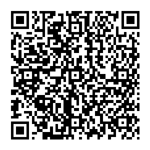 十大正道门派 除却天机阁以及剑宗 其余的八大门派在多次秘境中损失最惨重 早已不复当日二维码生成