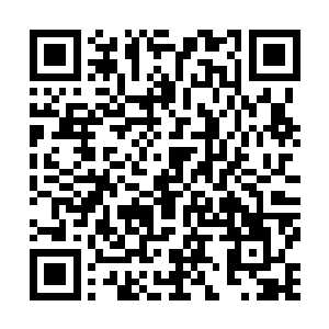 十大SS级佣兵和另外几个隐形势力在维持着灵界的平衡二维码生成