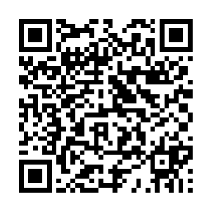 十大SS级佣兵的女帝刚刚与冥王佣兵团开战没多长时间二维码生成