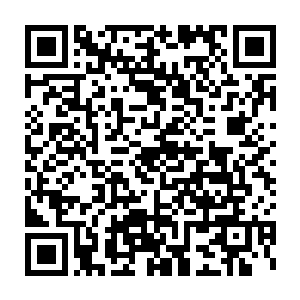 十字拍卖商会基本上自第五十件物品之后就真的开始拍卖珍贵物品了二维码生成