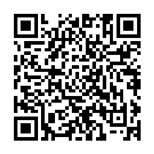 十年的修炼通过这次排名赛来彰显究竟是上元盟的弟子有潜力二维码生成