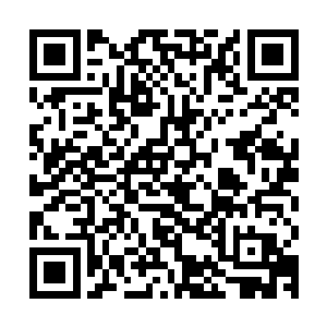 十指尖上竟然有着一个个慢慢展大的金印飞快的朝鬼重瞳子印去二维码生成